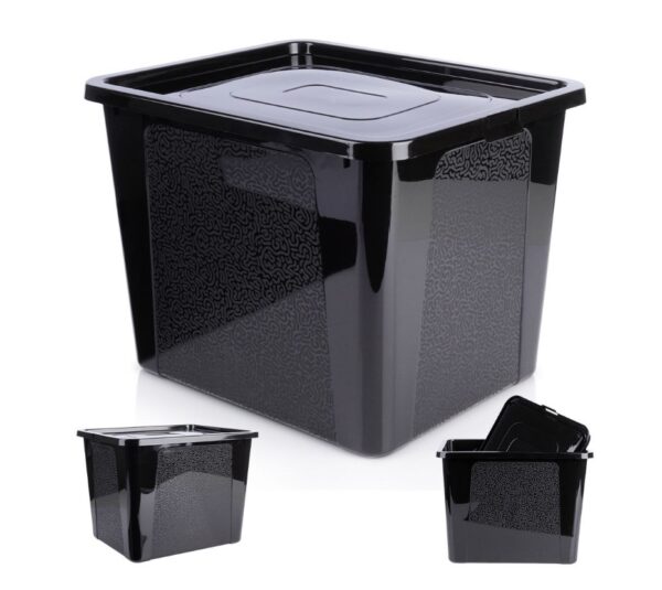 Hoiustamise Kast 30l